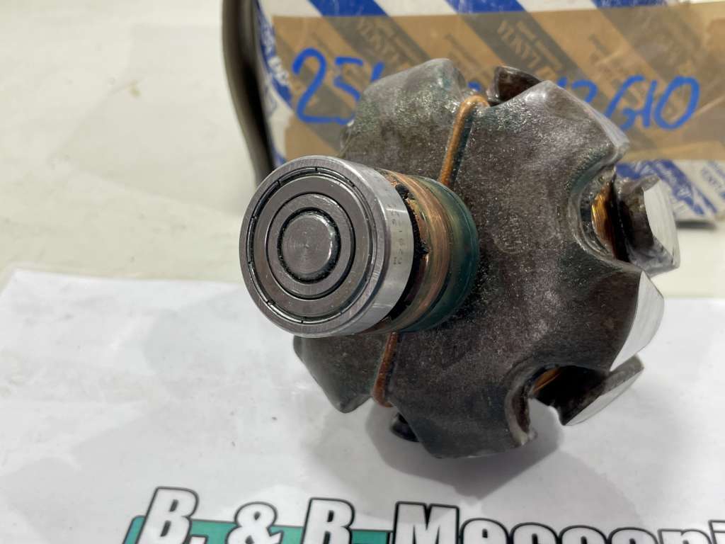 ROTORE INTERNO ALTERNATORE NUOVO ORIG FIAT 127 PICKUP FIAT FIORINO (254/22-013GIO)