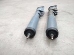 15569 image