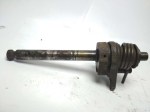 15667 image