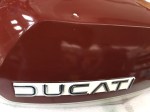 22299 image