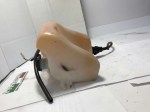 27836 image