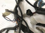 29055 image