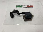 29637 image