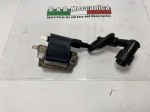 29637 image