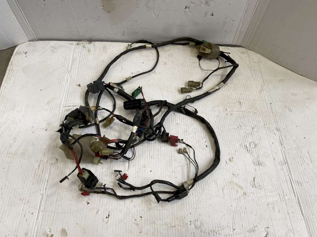 29645 image