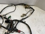 29645 image