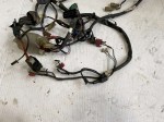 29645 image