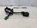 29681 image