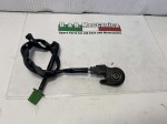 29681 image