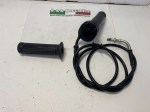 29683 image