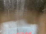 29686 image
