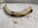 29896 image