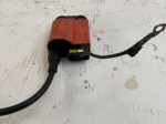 29981 image