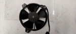 31023 image