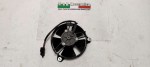 31023 image