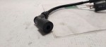 31041 image