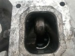 31079 image
