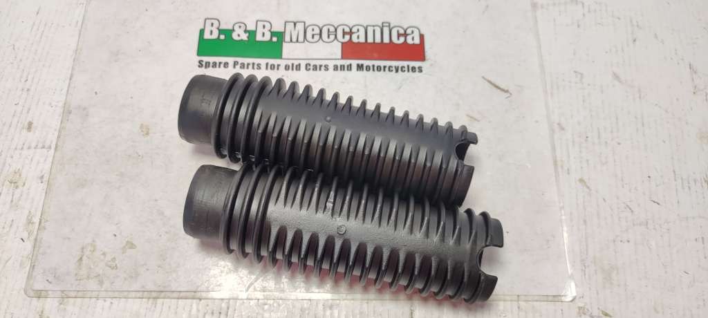 31555 image
