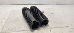 31555 image