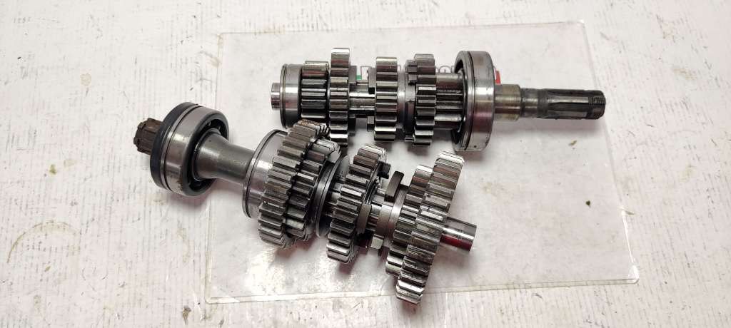31585 image