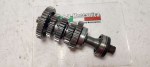 31585 image