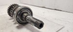 31585 image