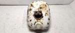 31645 image