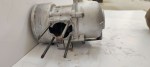 31676 image