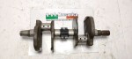 33407 image