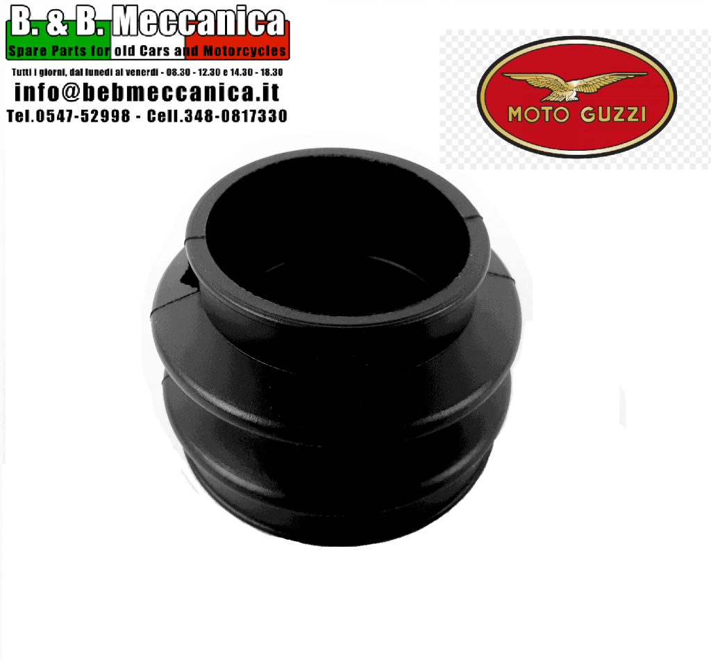 33649 image