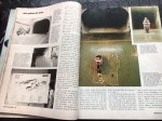 33938 image