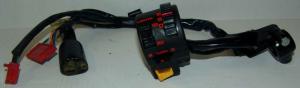 SWITCH DEVIO LUCI LIGHTS SWITCH (C604)