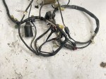 37197 image