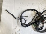 37408 image