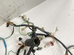 37746 image