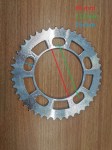 38401 image
