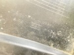 38428 image