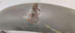 38794 image