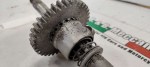 39024 image