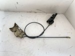 39787 image