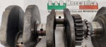 40275 image