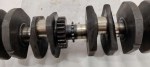 40275 image