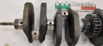 40305 image