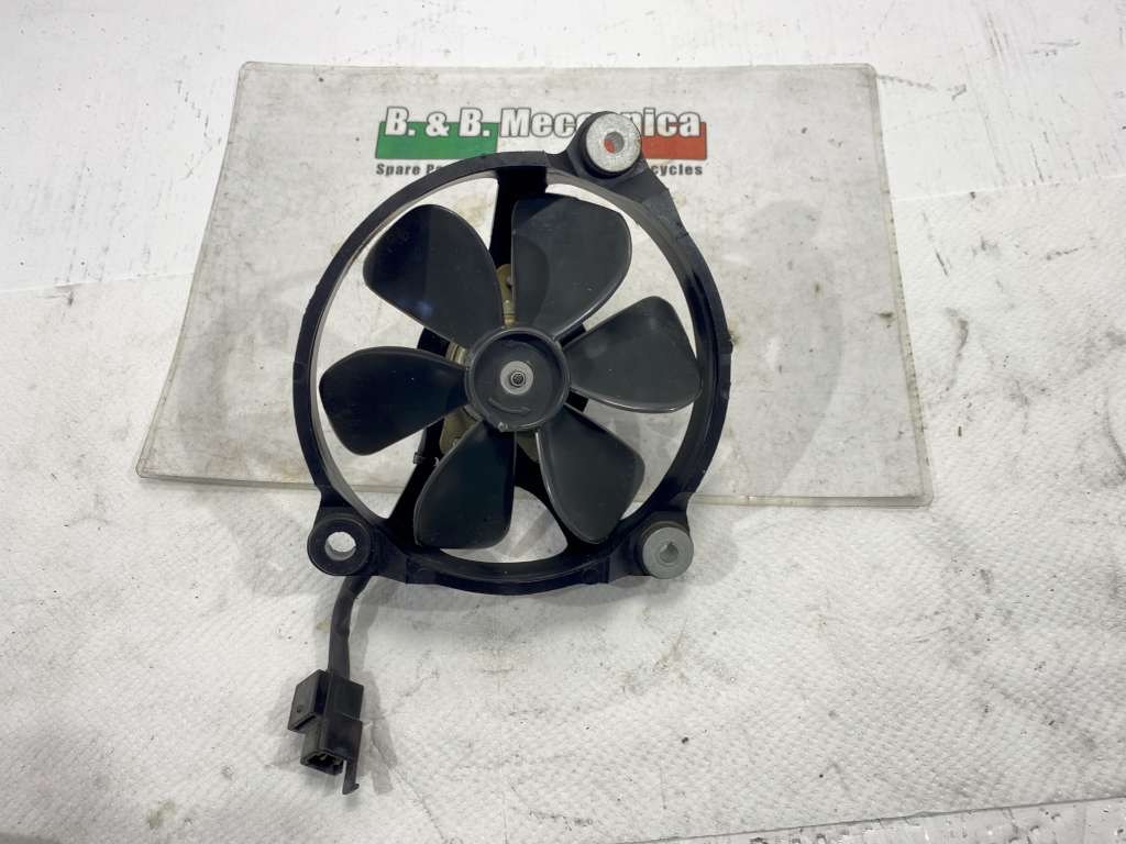 40507 image