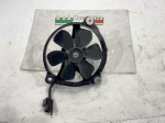 40507 image