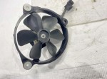 40507 image