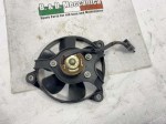 40507 image