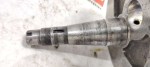 40542 image