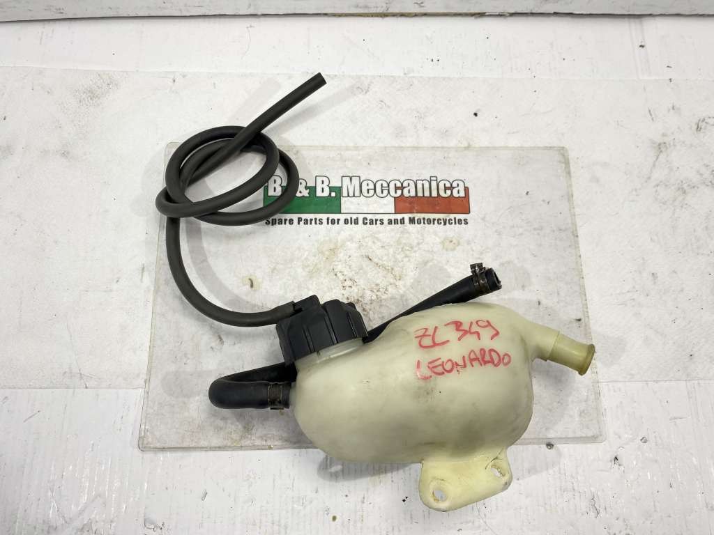 40543 image