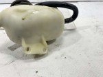 40543 image